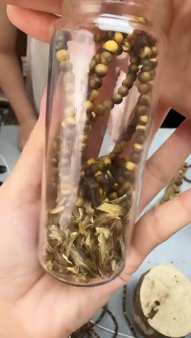 沉香沉香碎屑04虎斑棋圆多静静沉香甄选多样性发一
