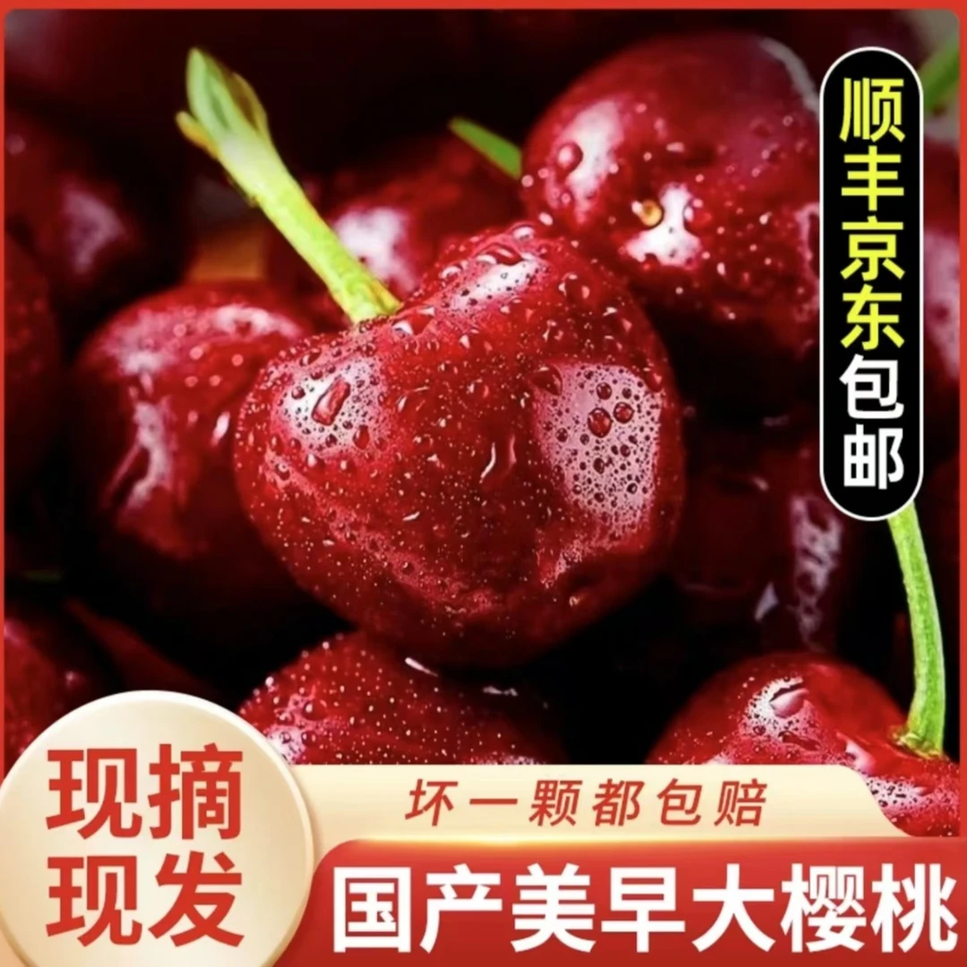 【顺丰/京东】山东美早大樱桃新鲜当季水果5斤S1