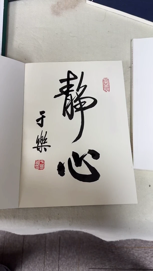 国画z天津人美-于乐书法书籍