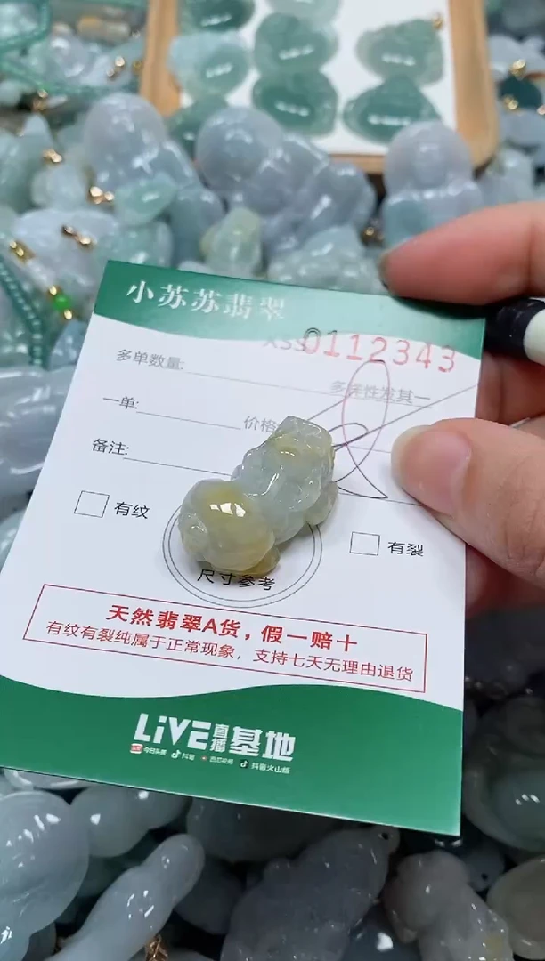 【闪购商品】翡翠颈饰未镶嵌闪购商品0112343