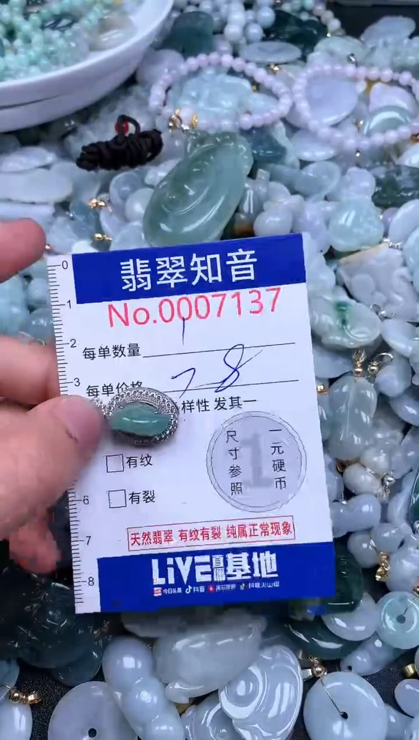 翡翠未镶嵌吊坠(不含链)7137