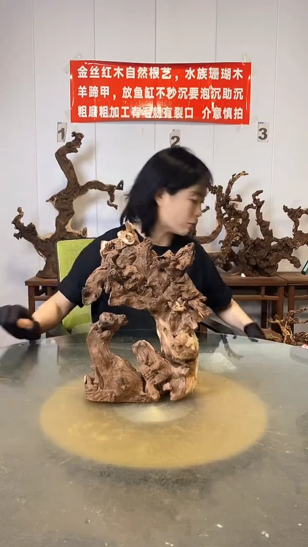 香榧木万**一金丝红木   羊蹄甲