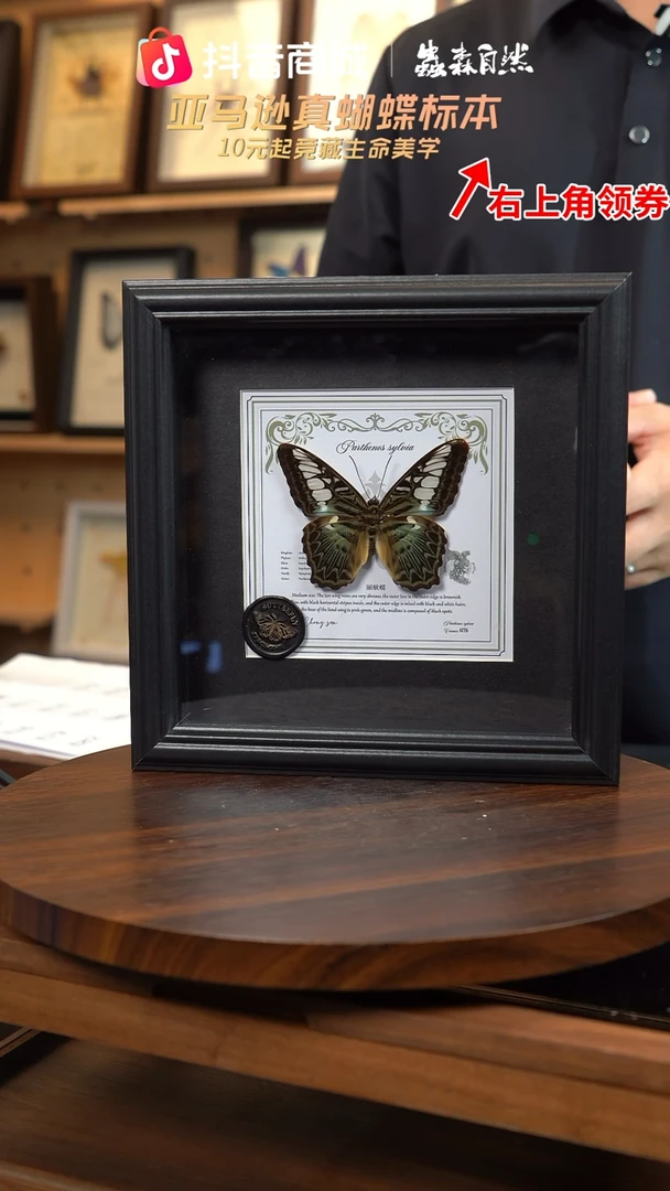 丽蛱蝶盲盒版7寸欧式方框