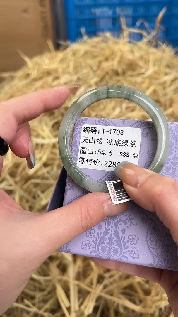 未镶嵌手镯石英质玉T-1703