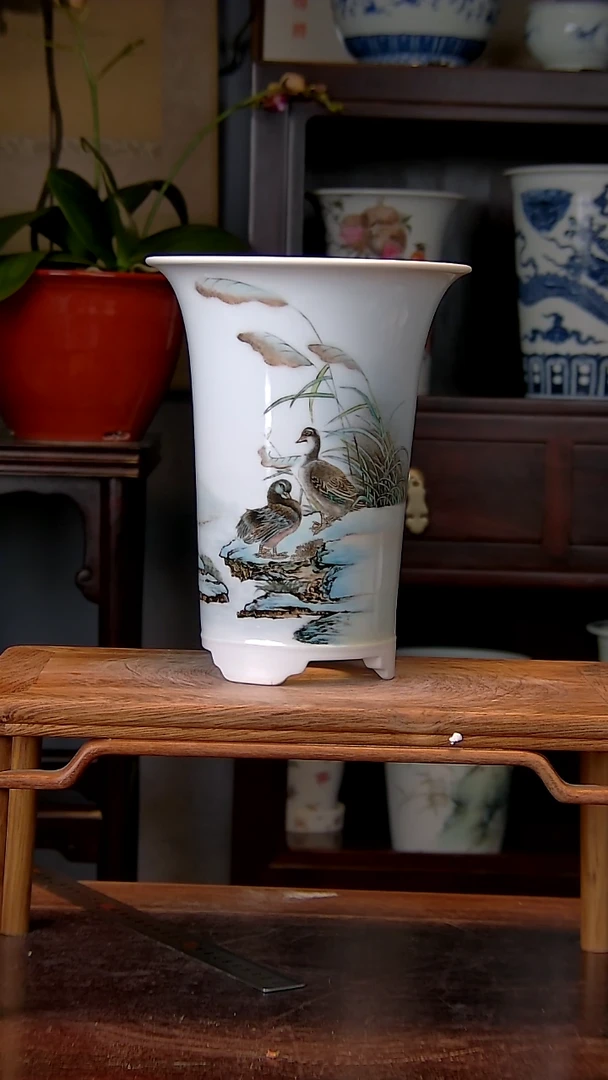 【闪购商品】红陶1