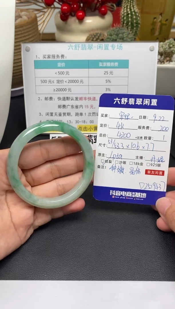 未镶嵌手镯翡翠宋***iD2519437