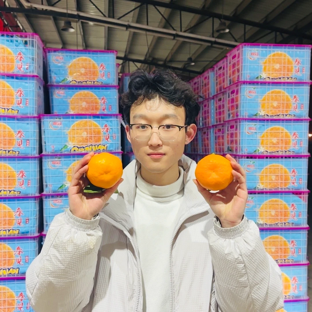 四川春见耙耙柑 净重5斤装 自然退酸原味（酸甜口）顺丰快递