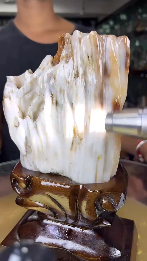 未镶嵌珠宝奇石硅化玉缅甸天然树化玉摆件
