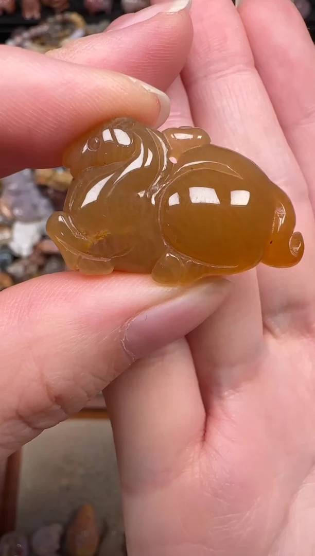 颈饰未镶嵌硅化珊瑚（珊瑚玉）568