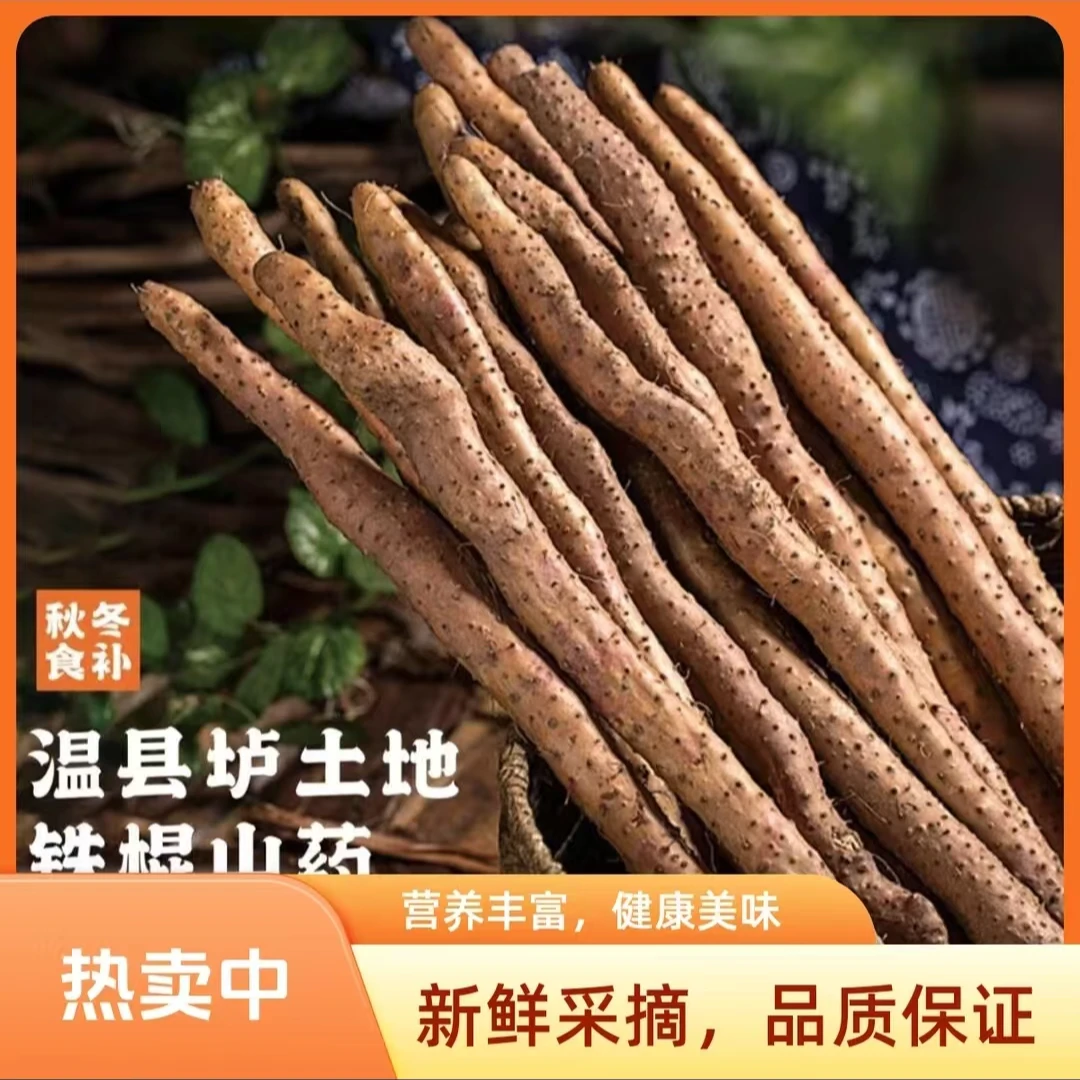 正宗河南焦作垆土铁棍山药河南发货（顺丰包邮）