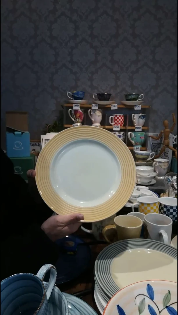 陶瓷10.5英寸平盘一个