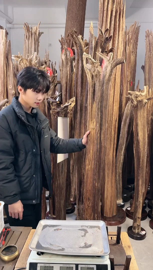 【闪购商品】沉香摆件沉香摆件多样性发一件95