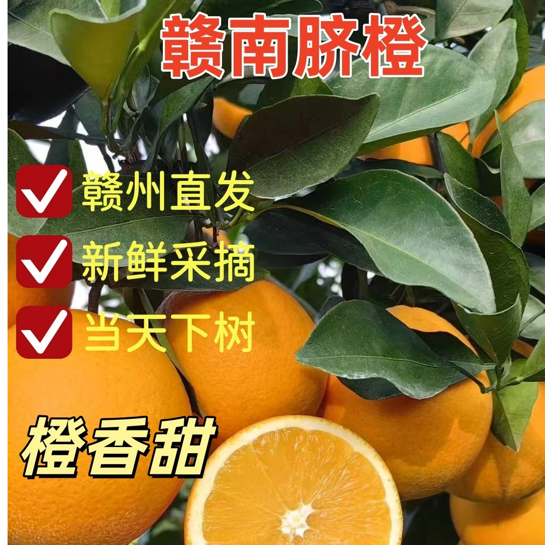 【双11让利】赣南脐橙新鲜现摘3/5/10斤源头直发保证品质
