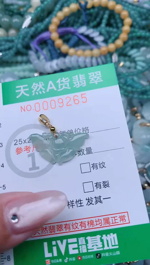 翡翠未镶嵌颈饰.0009265