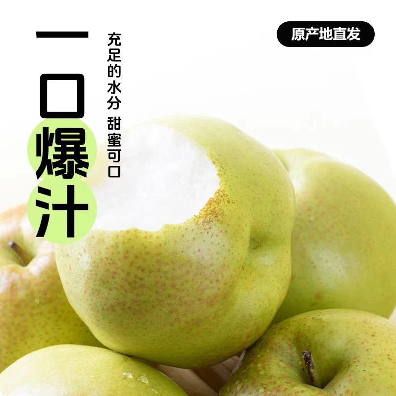 【头茬新梨】2024山西隰县玉露香梨香梨皮薄肉厚香甜多汁玉露香梨