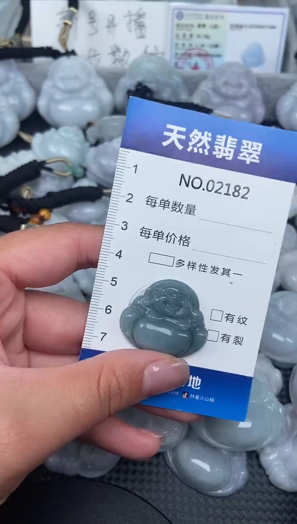 颈饰未镶嵌翡翠纯天然A货翡翠2182