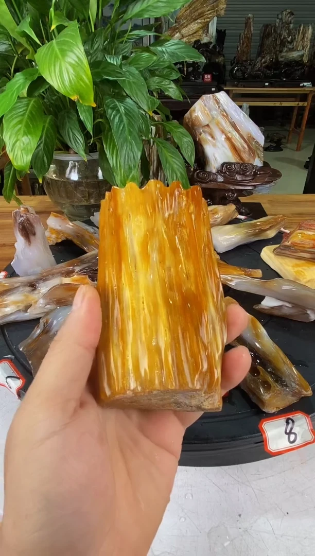 硅化玉珠宝奇石未镶嵌1