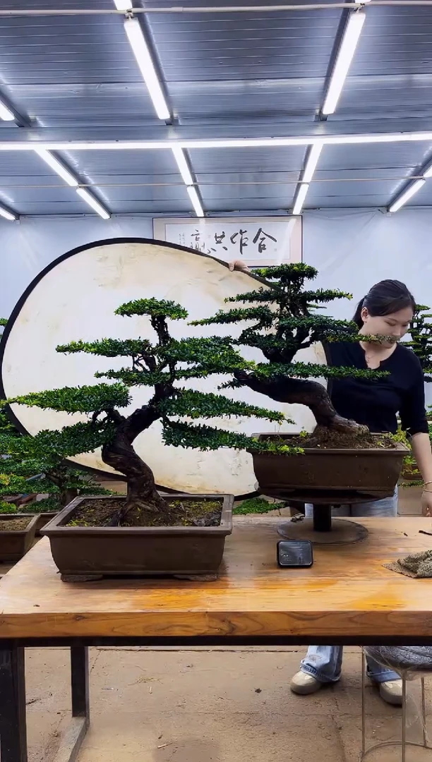 无花朵一物一拍，所见即所得