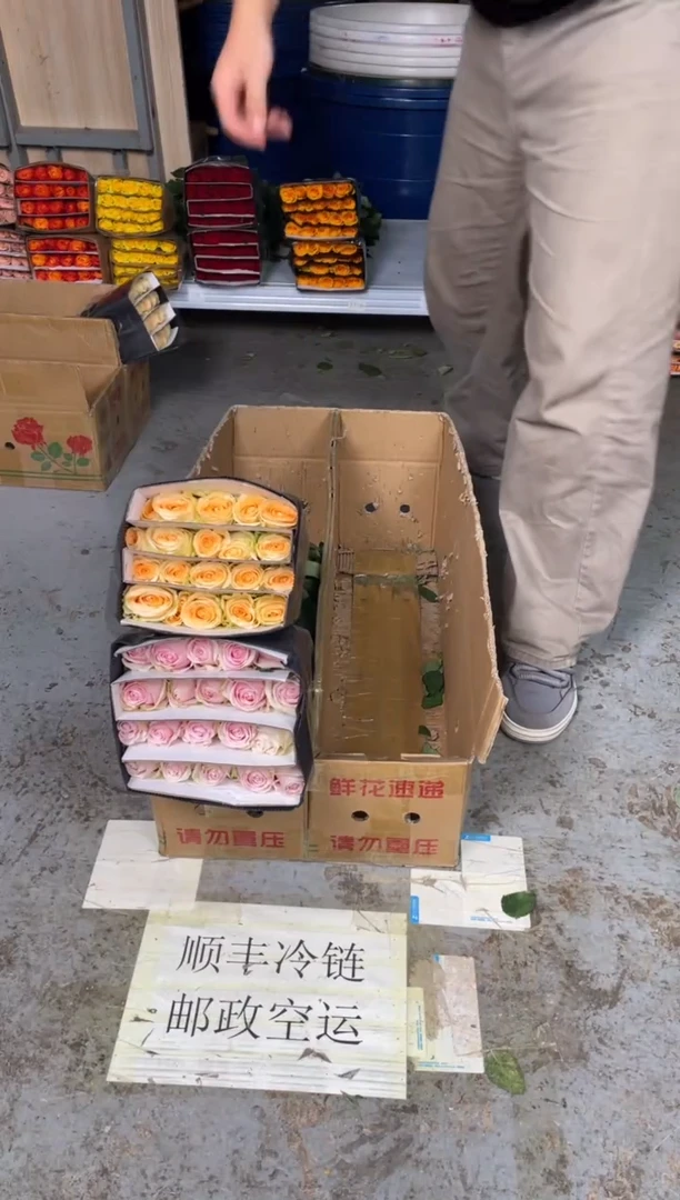 粉红2扎+香槟1扎