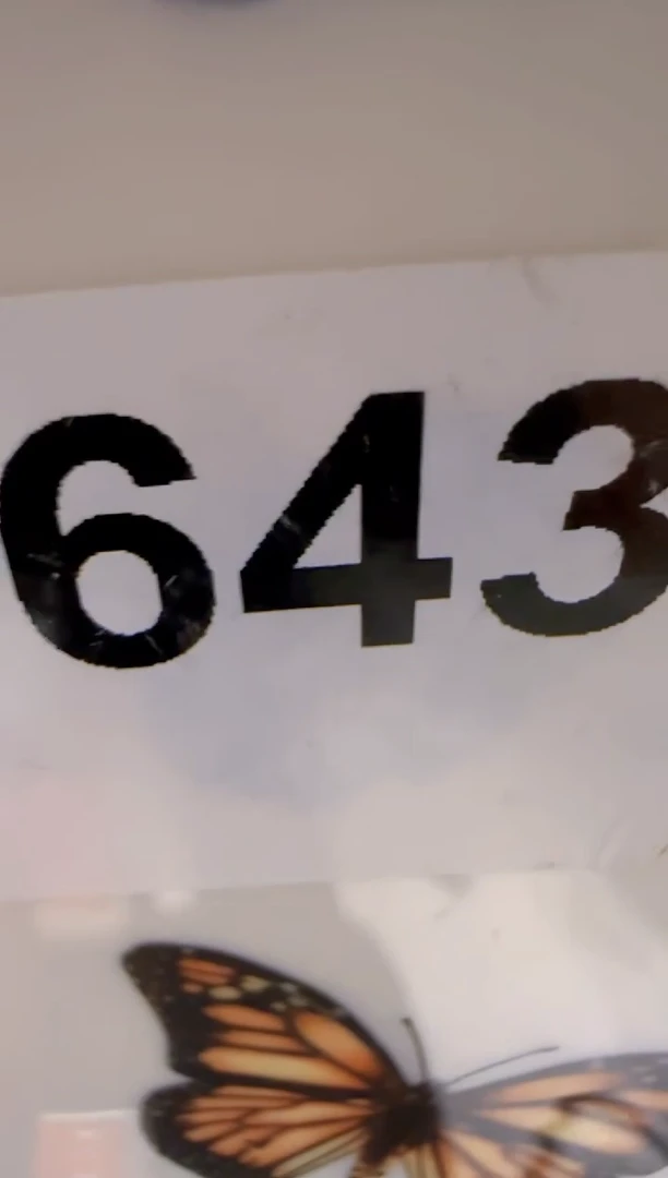 瓷盘子瓷**************