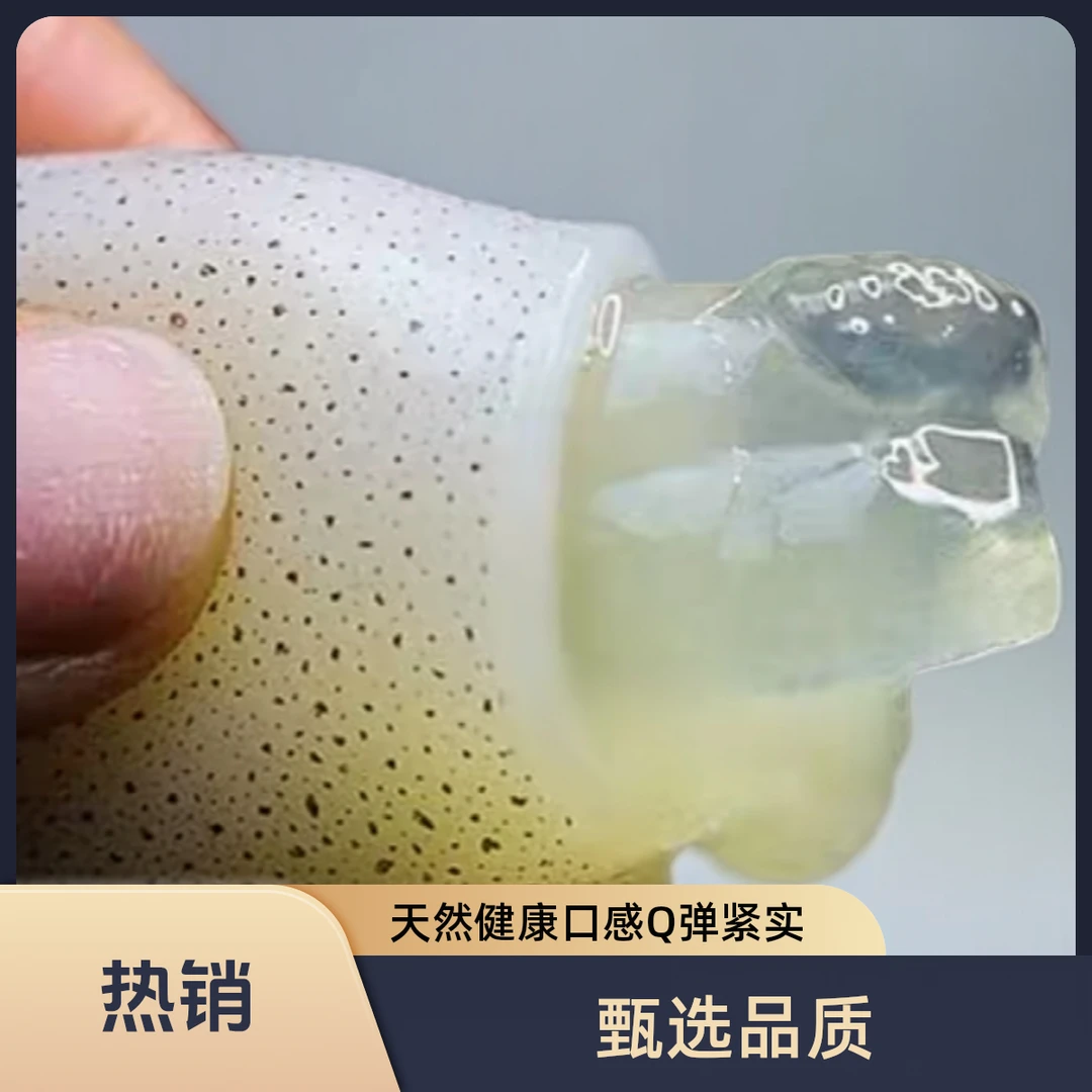 甄选品质海兔（原浆大笔管）火锅食材脆嫩鲜香 大连发货