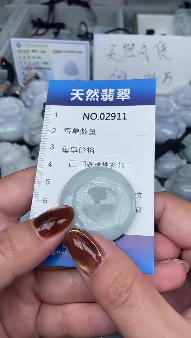 颈饰未镶嵌翡翠纯天然A货翡翠2911