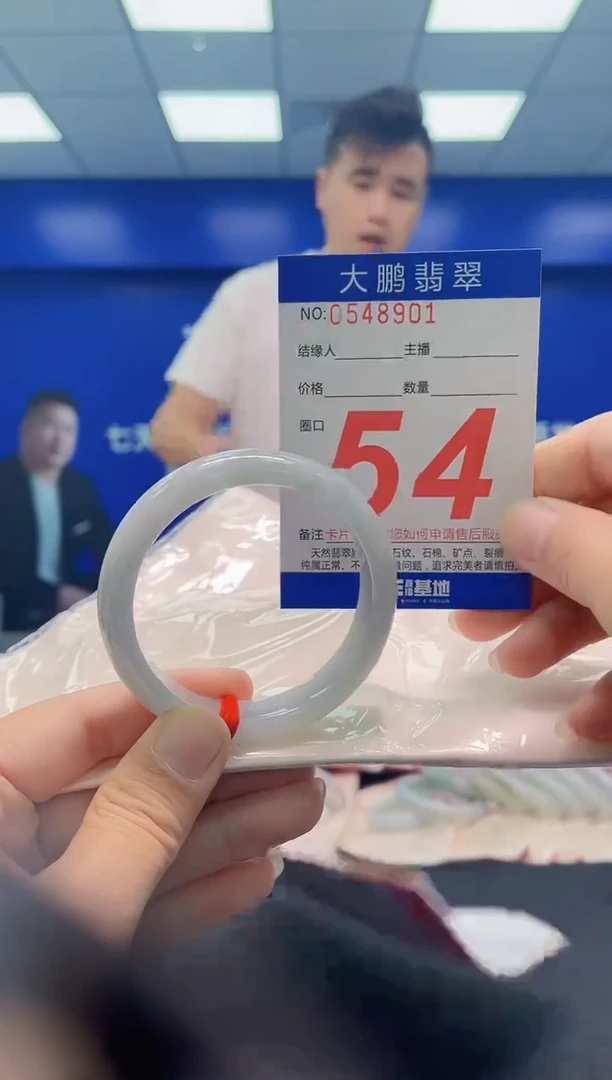 未镶嵌手镯翡翠AAAAAAAAA