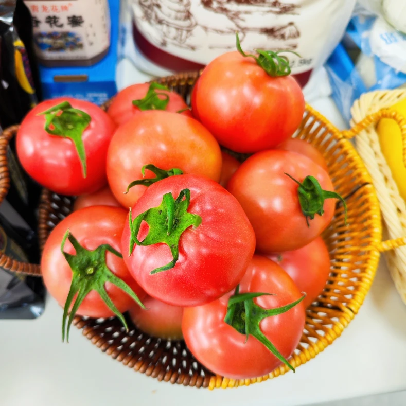 老品种西红柿沙瓤果肉饱满新鲜采摘到手5斤