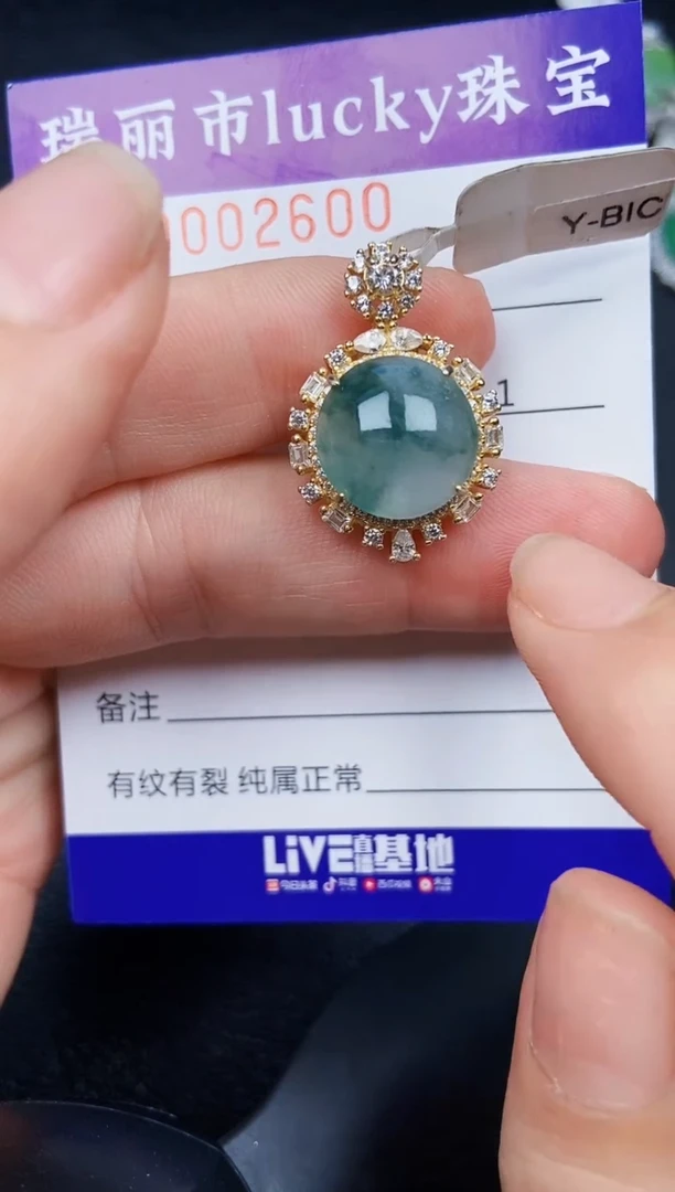 翡翠银S925镶嵌颈饰2600