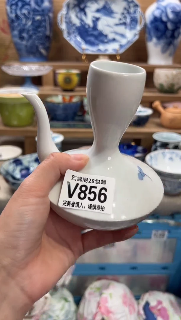 瓷片敏*       V856