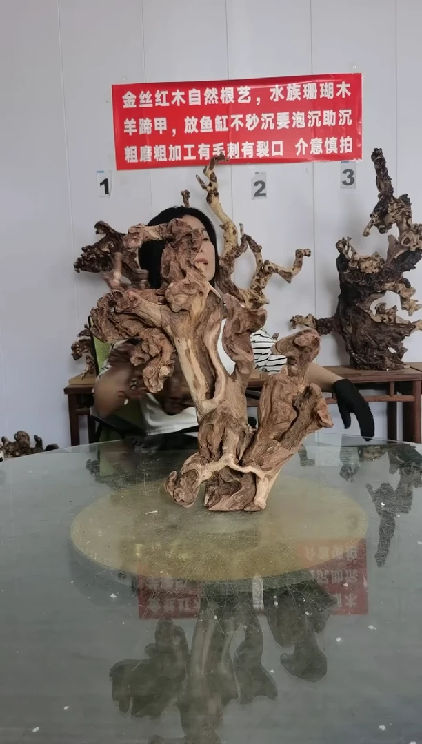 【闪购商品】香榧木32枯树摆件 粗磨粗加工半成品 毛料