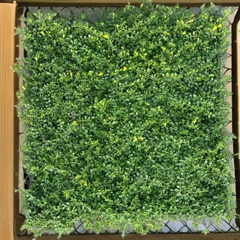 金沙蔓绿植墙真植物墙面装饰人造假草皮阳台室内