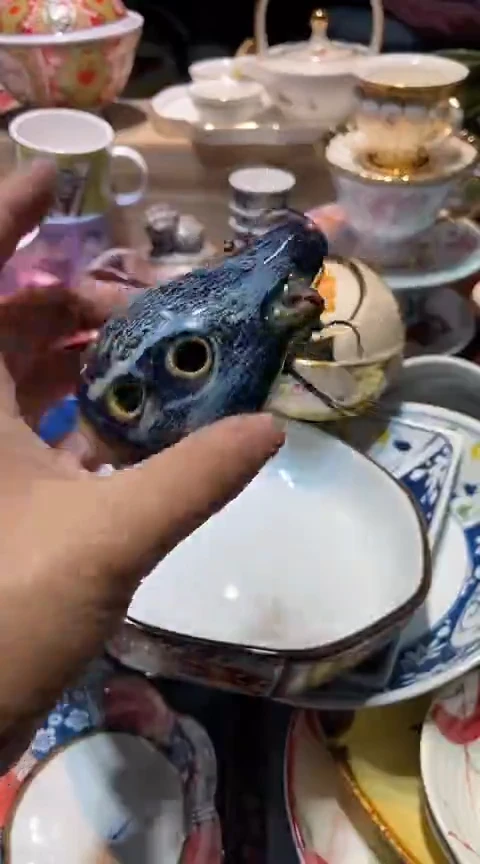 瓷片1111111111111@@1