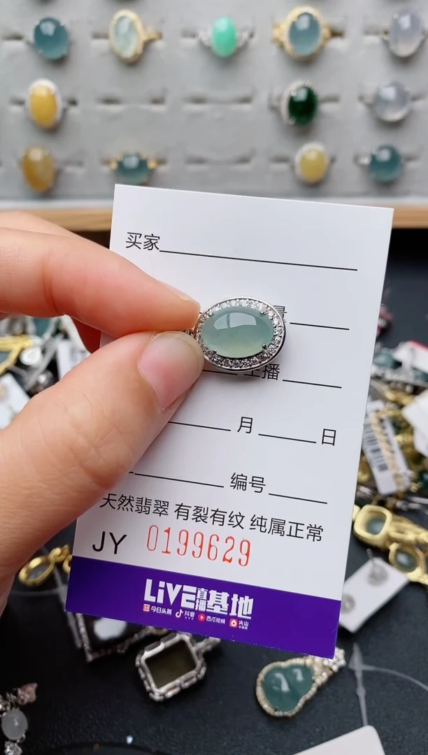 翡翠银S925镶嵌颈饰.