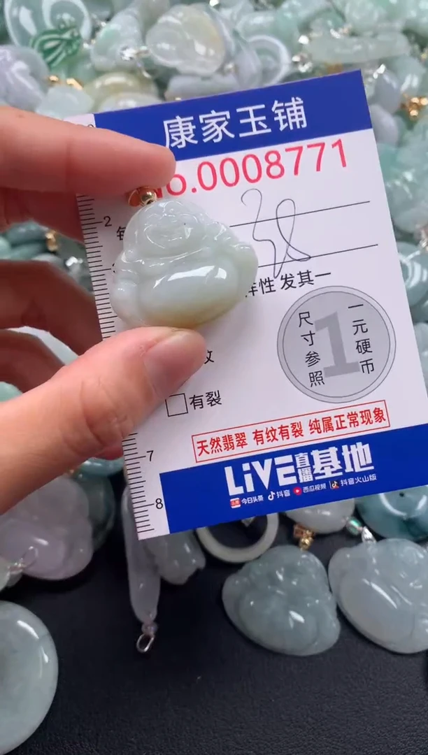 颈饰未镶嵌翡翠8771