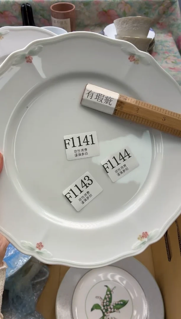 瓷片      F1144