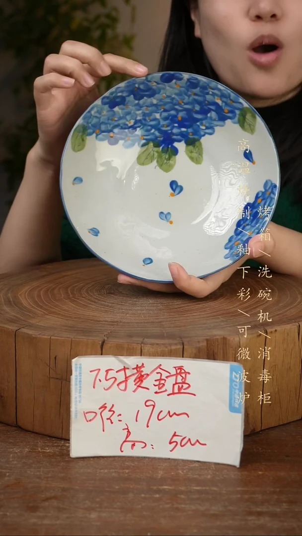 碗瓷景德镇手工手绘高温瓷釉下彩