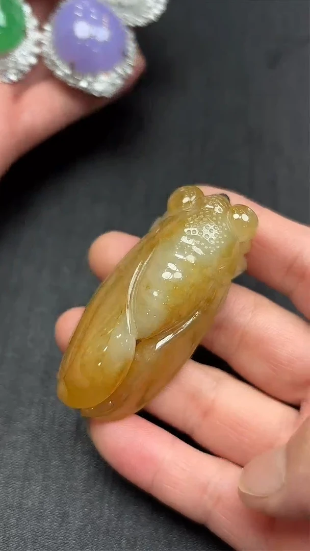 翡翠未镶嵌颈饰天然缅甸翡翠A货 冰黄翡蝉