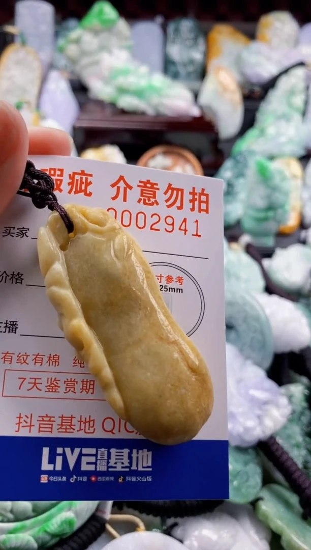 翡翠未镶嵌吊坠(不含链)1