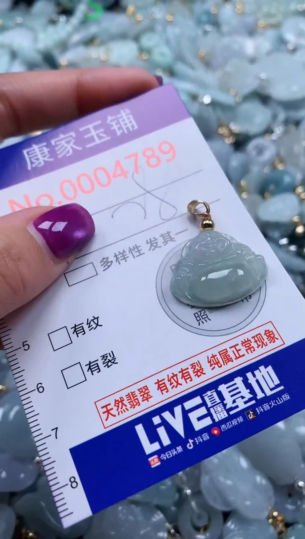 颈饰未镶嵌翡翠4789