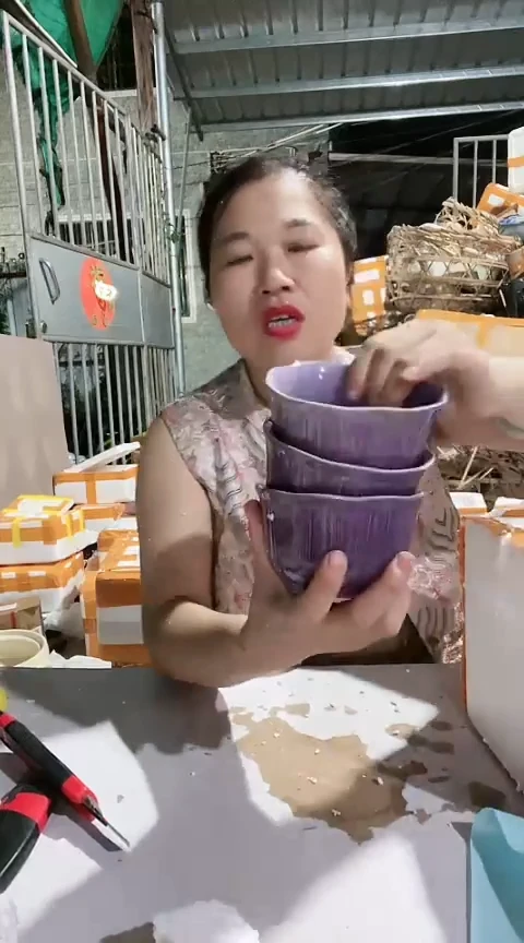 瑕疵紫色米饭碗六个