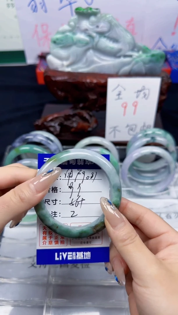 未镶嵌手镯翡翠用****11