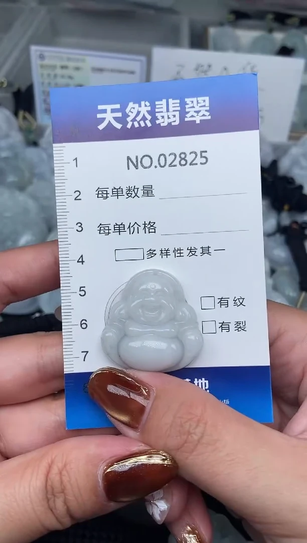 颈饰未镶嵌翡翠纯天然A货翡翠2825