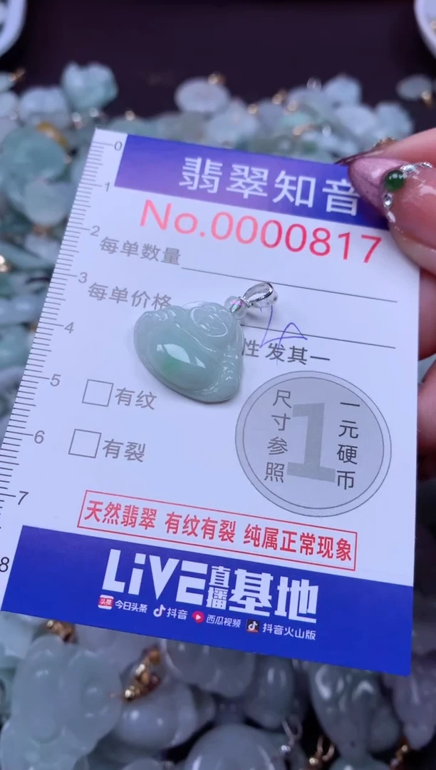 吊坠(不含链)未镶嵌翡翠817