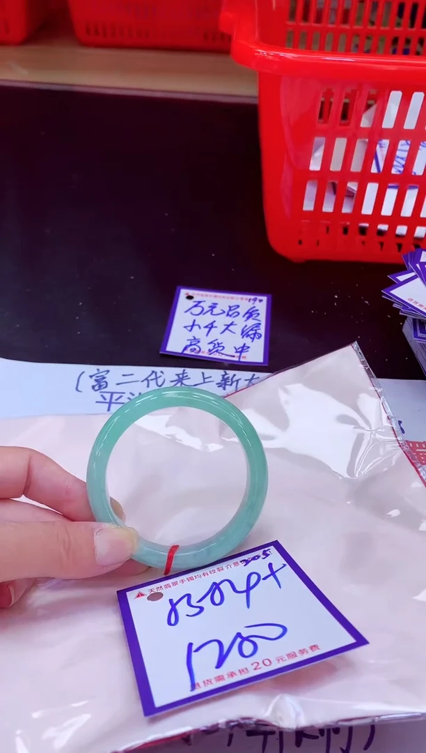 未镶嵌手镯翡翠11111111