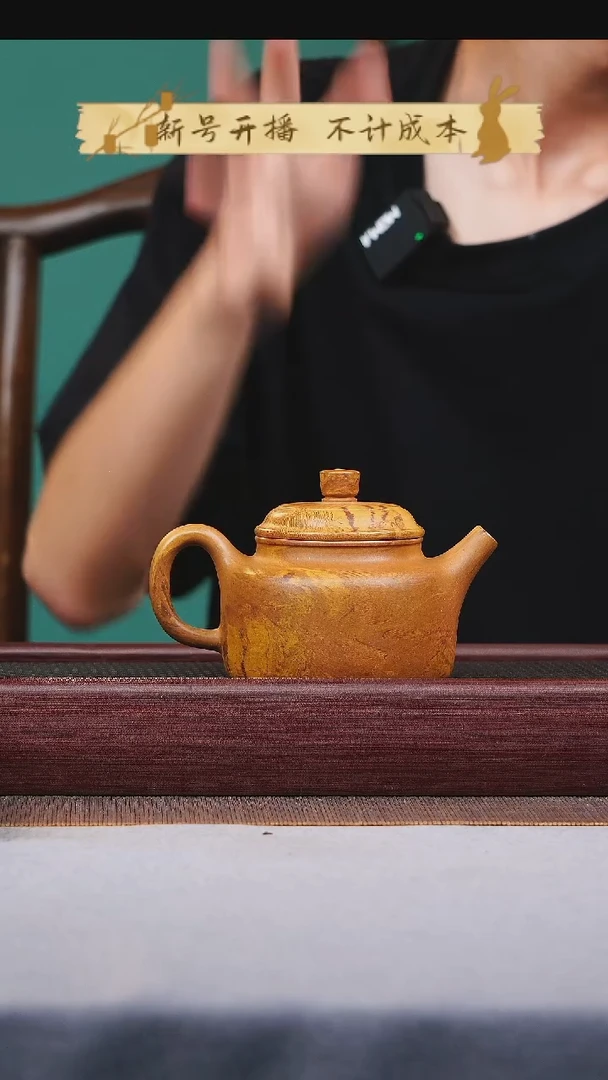 茶壶紫砂宜兴原矿紫砂作品