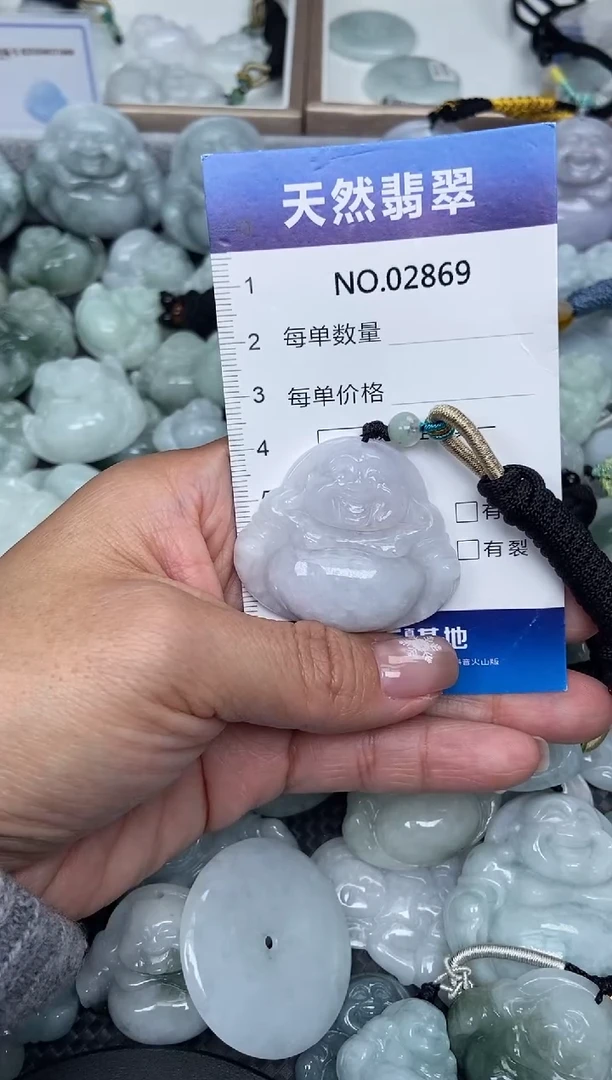 颈饰未镶嵌翡翠纯天然A货翡翠2869