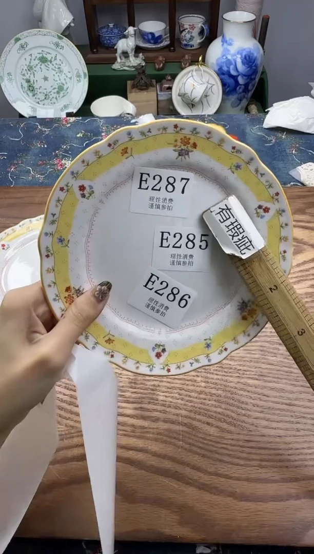 瓷片x**i       E287