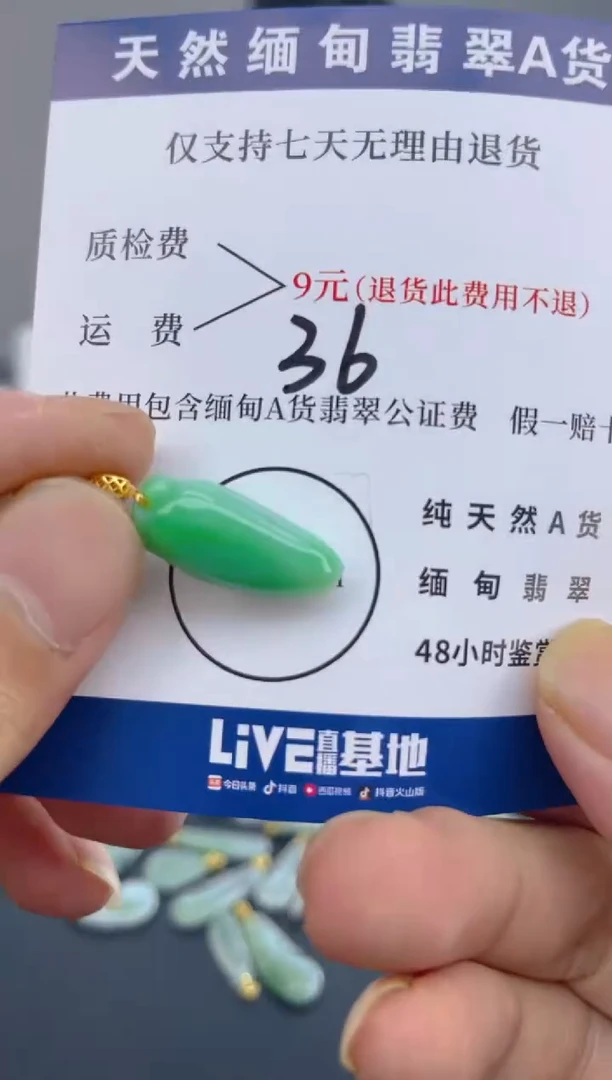 颈饰18K金镶嵌翡翠天然A货翡翠