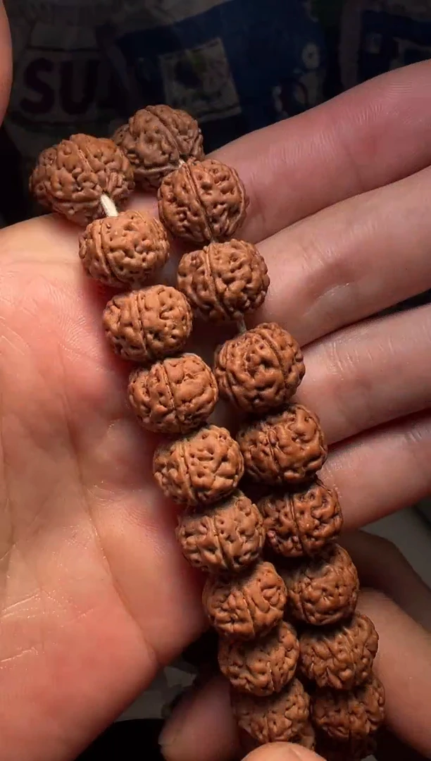 手串金刚菩提无利润超头精挑老树王手持-14mm